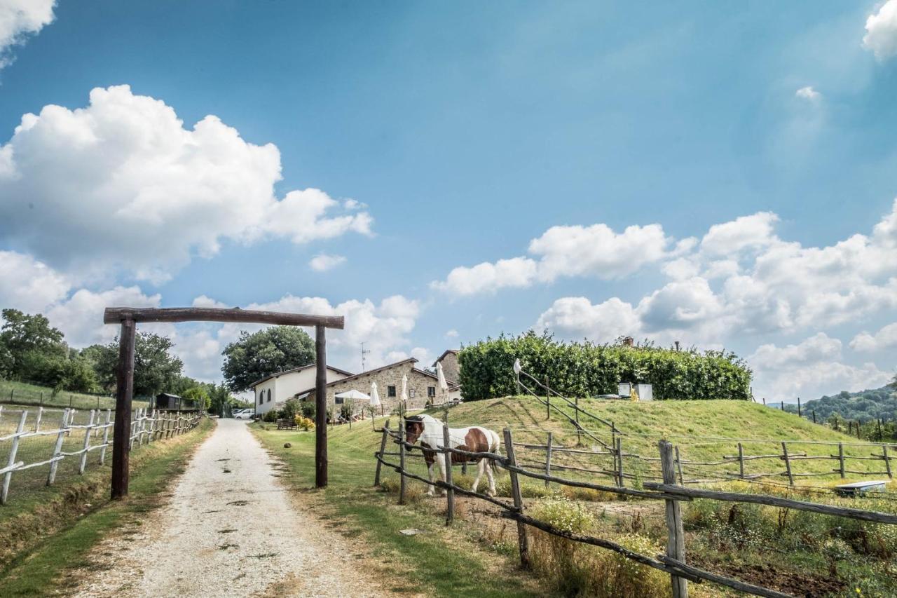 Agriturismo Goccia Di Luna Umbertide Kültér fotó