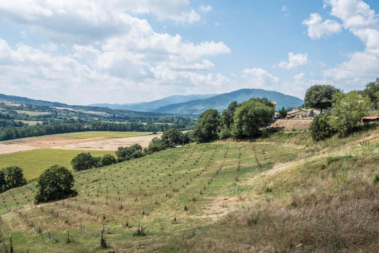 Agriturismo Goccia Di Luna Umbertide Kültér fotó