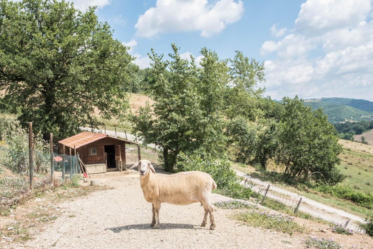 Agriturismo Goccia Di Luna Umbertide Kültér fotó