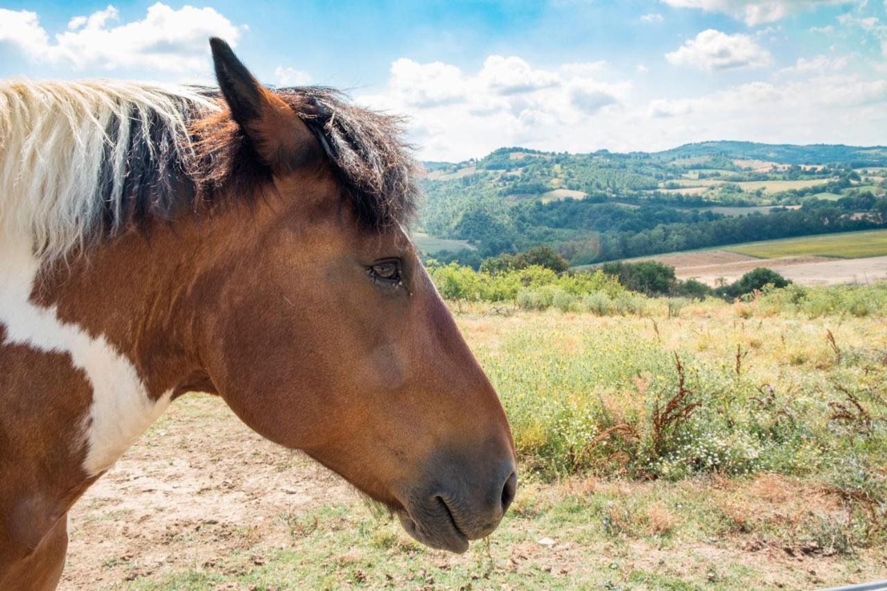 Agriturismo Goccia Di Luna Umbertide Kültér fotó
