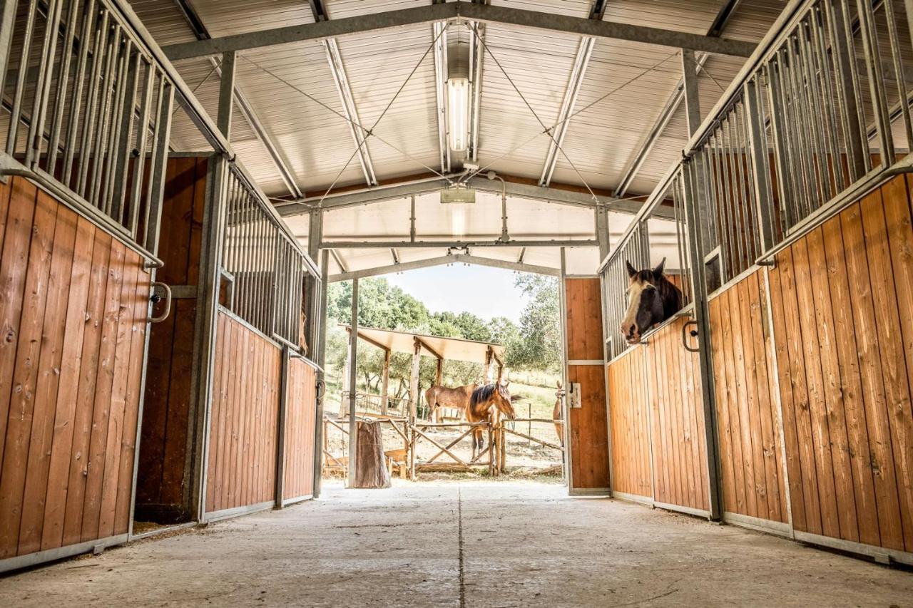 Agriturismo Goccia Di Luna Umbertide Kültér fotó